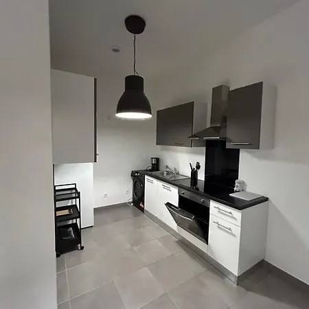 Meublee Nantaise Dans Un T3 Commun Avec Terrasse * Нант