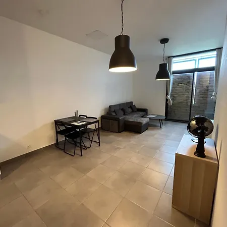 Meublee Nantaise Dans Un T3 Commun Avec Terrasse Апартаменты