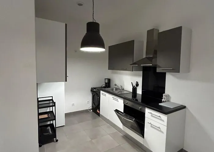 Meublee Nantaise Dans Un T3 Commun Avec Terrasse * 南特