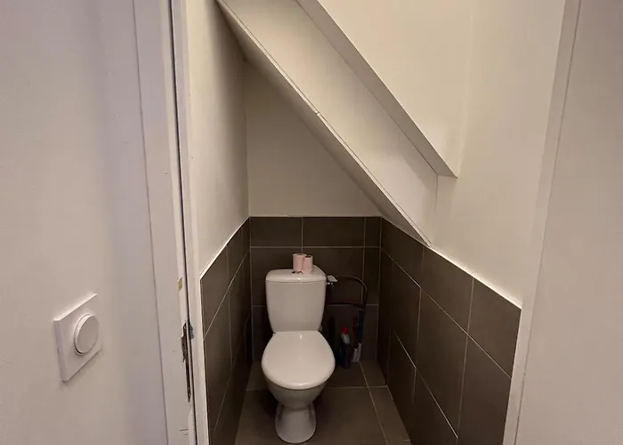 Meublee Nantaise Dans Un T3 Commun Avec Terrasse * 南特